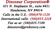 Dinosaur Corp Online Store