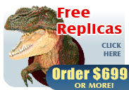 Free Replica Fossil Skull